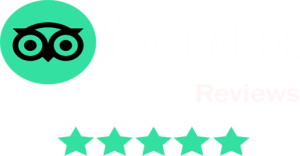 King Way Car Rental Tripadvisor Reviews