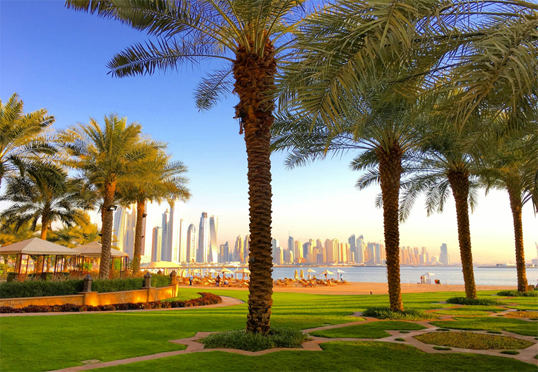 The best free public parks in Dubai for walking and relaxation